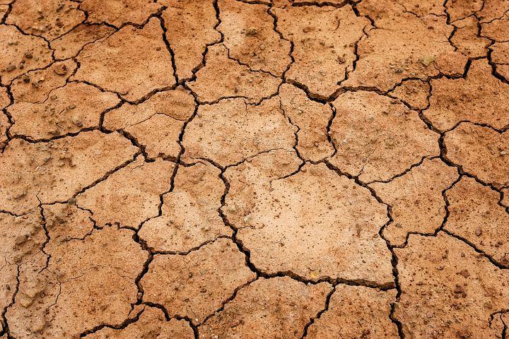 СМИ: В 93 департаментах Франции из-за засухи ограничено потребление воды